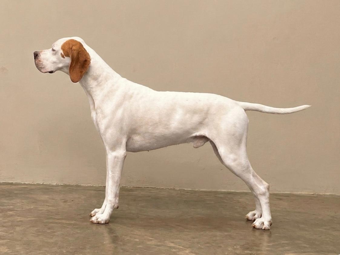 Oslo of TM Farm