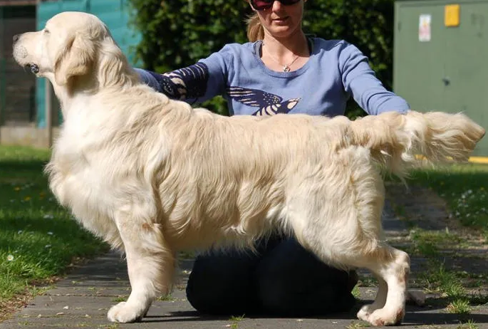 Jackpot Noroy Du Plessy