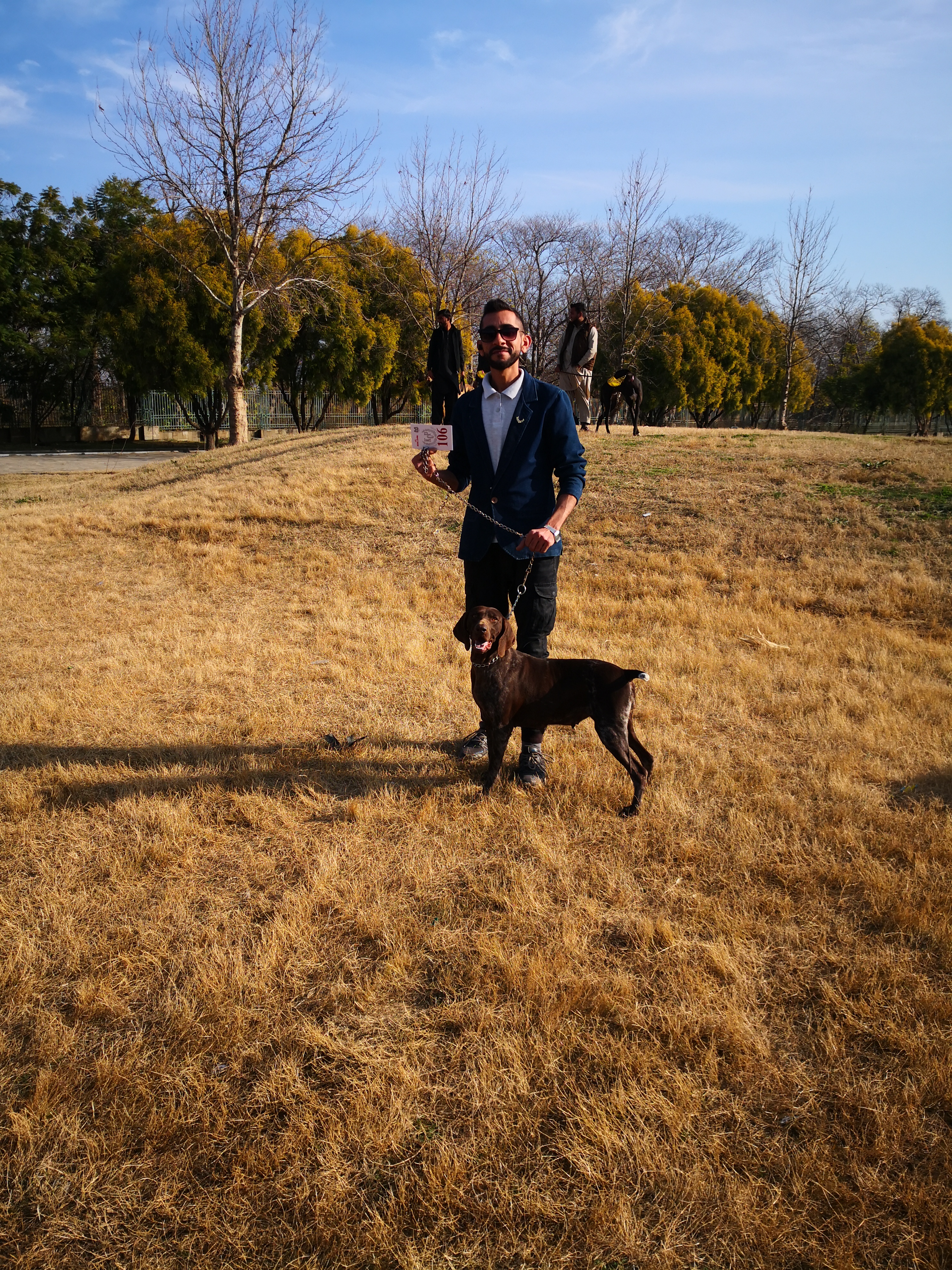 dogimage