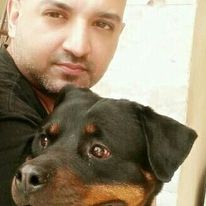 dogimage