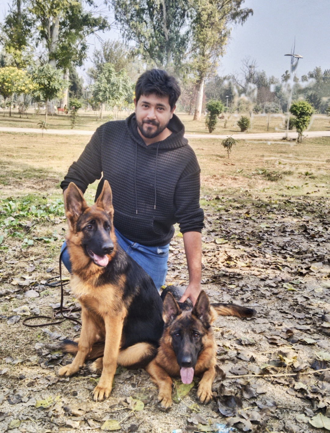 dogimage