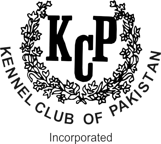 kcp